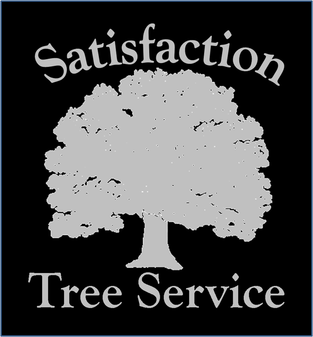 satisfaction tree service | tree removal | roanoke