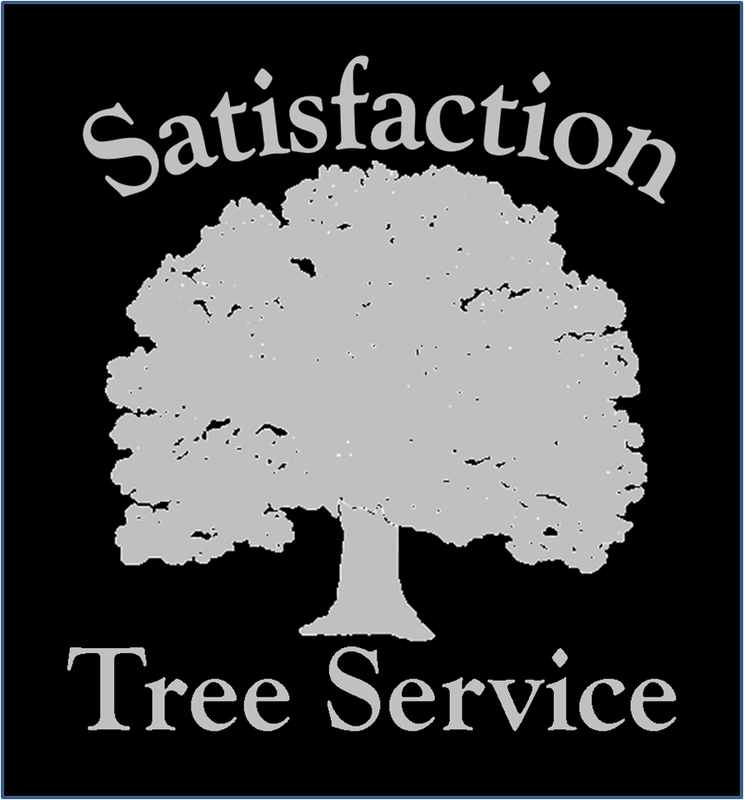 Tree Service Roanoke VA - Free Quotes - TreeCareHQ Roanoke